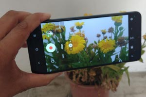 Digital Pictures Recovery digital pictures recovery