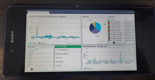 website uptime monitoring